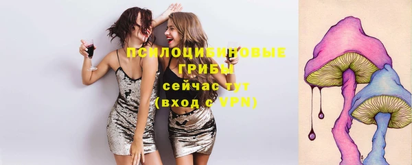 гидра Белоозёрский