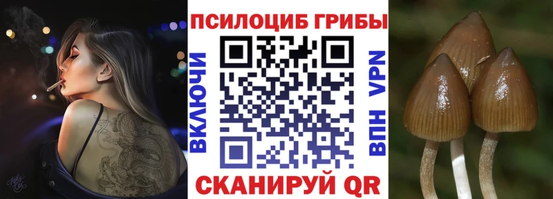 цены   МЕГА ссылки  Галлюциногенные грибы ЛСД  Завитинск 